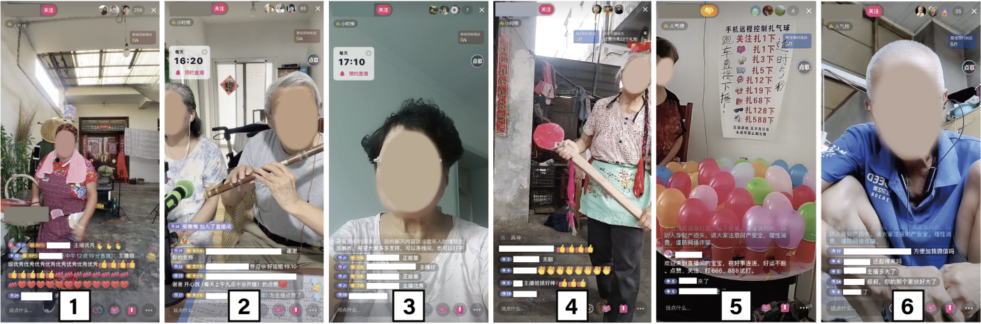 'Even When Success Seems Impossible, I Keep Streaming': How Do Chinese Elderly Streamers Interact with Platform Algorithmic (In)visibility